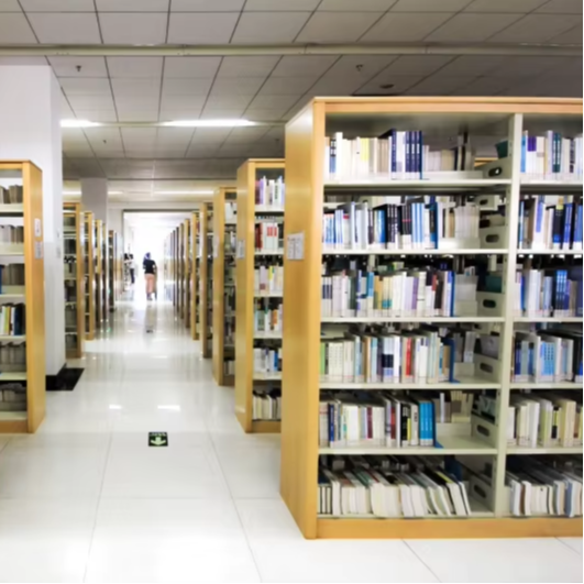 Scaffali per libri bifacciali  - Home Office And Library recensione e prezzo