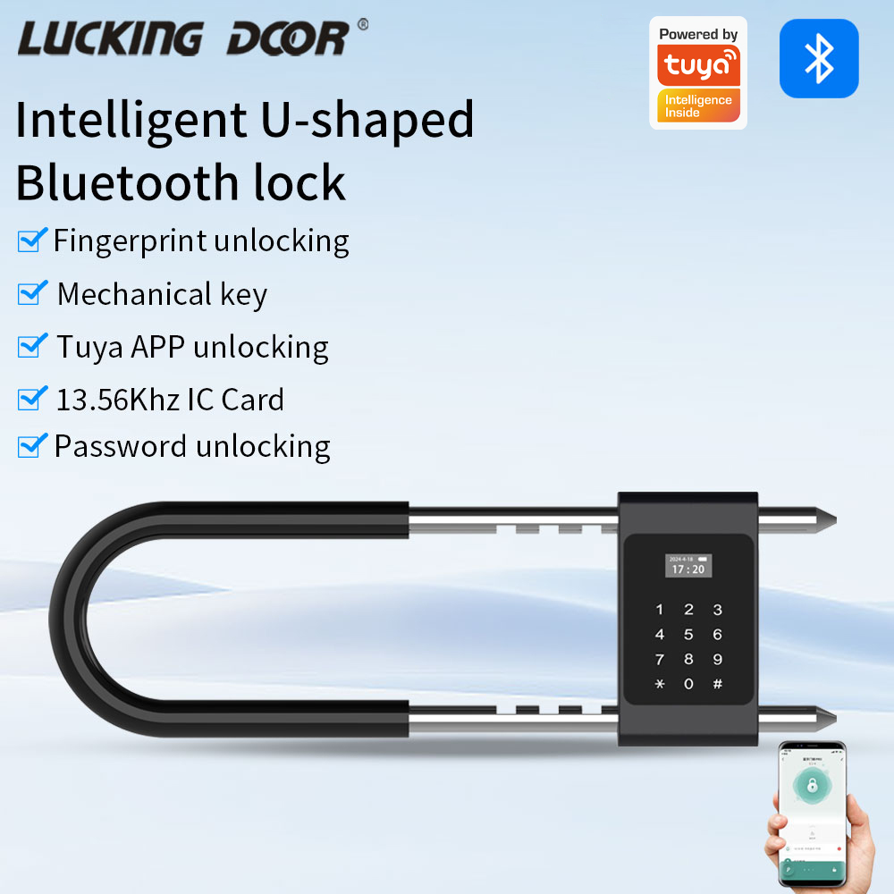 Serratura Elettronica Biometri - Home Office Login recensione e prezzo