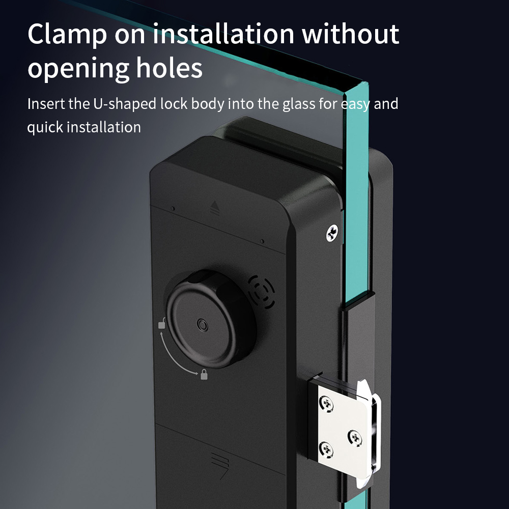 TTLOCK Smart Glass lock Ricono - Home Office Login recensione e prezzo